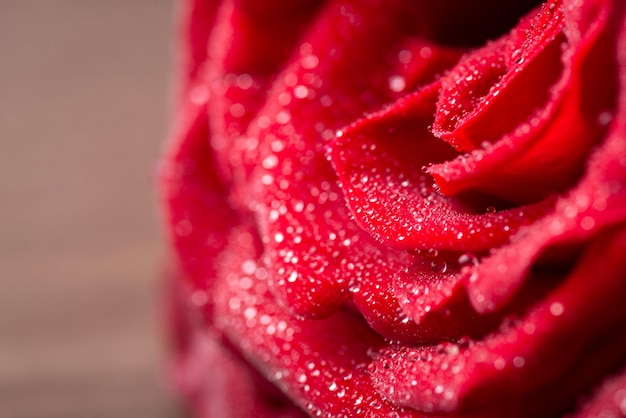 Primo piano di gocce d'acqua su petali di rosa rossa in fiore