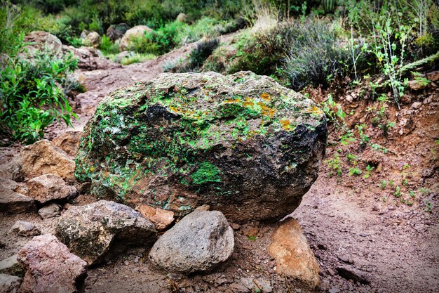 Primo piano di grande roccia in deserto dell'Arizona, USA