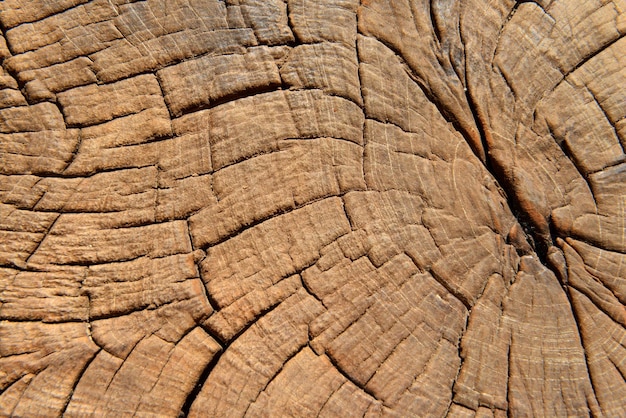 primo piano di legno vecchio per sfondo texture