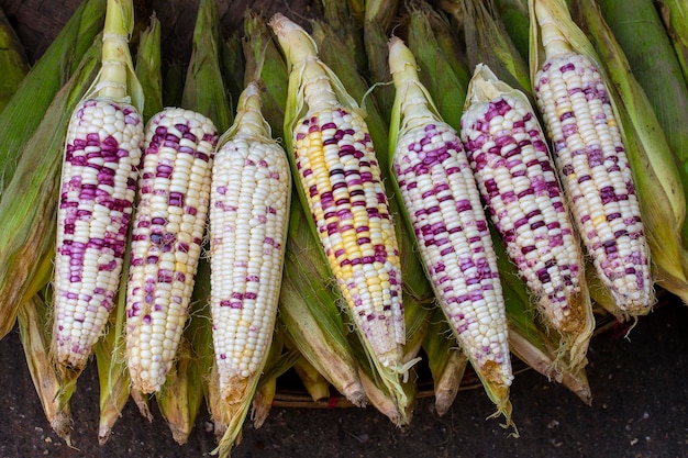 Primo piano di mais dolce biologico fresco in vendita presso un mercato locale degli agricoltori in Thailandia