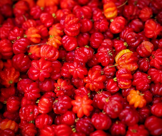 Primo piano di molti peperoni Habanero rossi e verdi in un mercato Vista dall'alto sullo sfondo