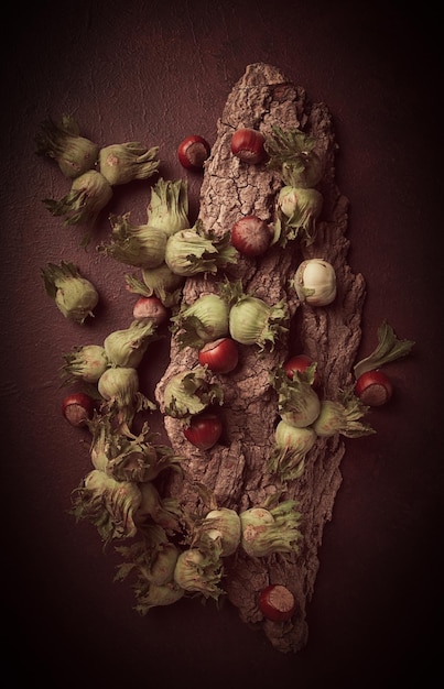 Primo piano di nocciole verdi fresche sulla corteccia di un albero di noce non pulito vista dall'alto rustico senza persone