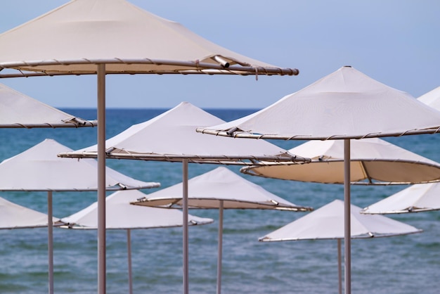 Primo piano di ombrelloni solari sulla spiaggia