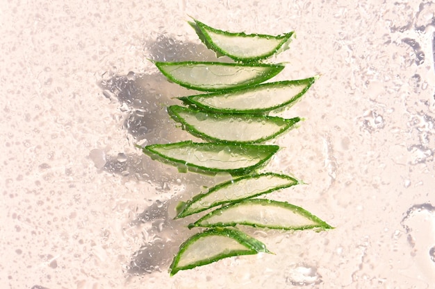 Primo piano di piante di aloe vera su sfondo pastello Vista di fette di aloe vera attraverso il vetro con gocce d'acqua