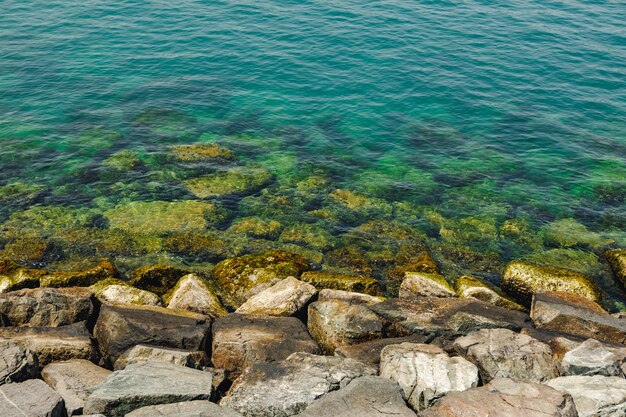 Primo piano di pietre e acqua limpida sulla riva di una spiaggia