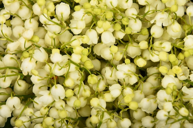 Primo piano di primavera fresca mughetto bouquet di fiori, ad alto angolo di visione, direttamente sopra