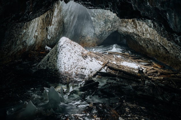 Primo piano di rocce coperte di ghiaccio in una foresta sotto la luce del sole