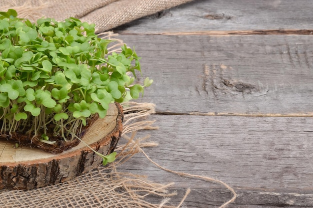 Primo piano di rucola su un supporto in legno naturale e tela