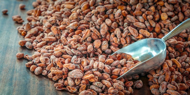 Primo piano di sfondo di fave di cacao marroni secchi Fave di cacao marroni aromatiche e semi di cacao