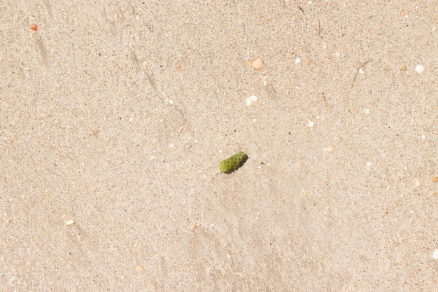 Primo piano di sfondo spiaggia di sabbia bagnata