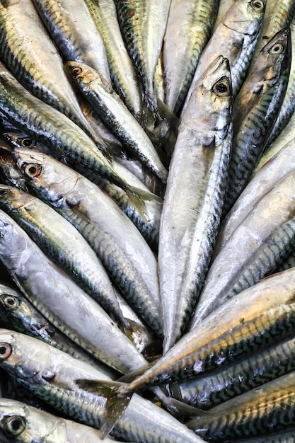 Primo piano di sgombro fresco appena pescato venduto al mercato del pesce Concetto di texture di sfondo di pesce sano e ricco di omega 3