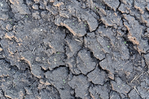 Primo piano di terreno asciutto con struttura incrinata del terreno