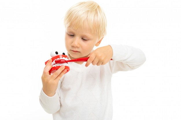 Primo piano di un bambino maschio biondo con un giocattolo sotto forma di mascella di dente e uno spazzolino da denti bianco su un fondo bianco