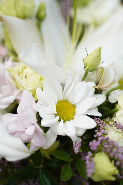 Primo piano di un bouquet di fiori bianchi. 8 marzo e festa della donna.