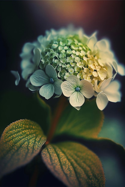 Primo piano di un fiore bianco con foglie verdi ai generativo