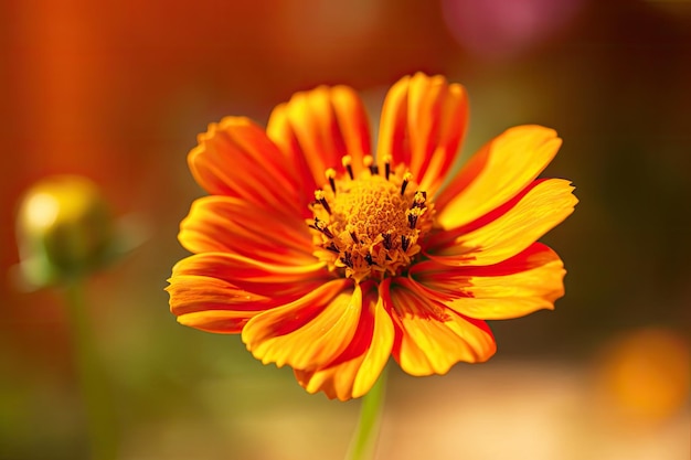 Primo piano di un fiore vibrante con uno sfondo sfocato IA generativa