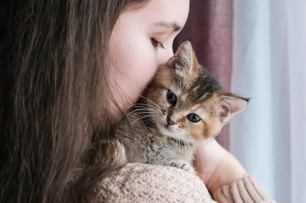 Primo piano di un gattino sulla spalla della ragazza Amore per gli animali domestici