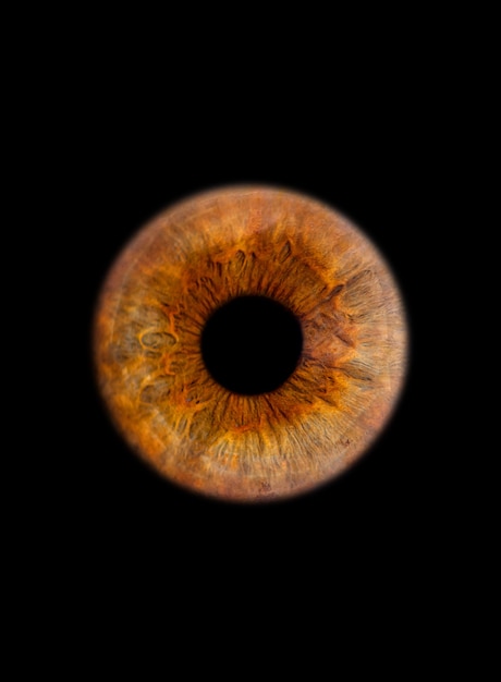 primo piano di un'iride oculare sul muro nero
