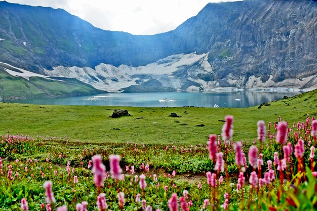 Primo piano di un lago in montagna con fiori ed erba verde in primo piano