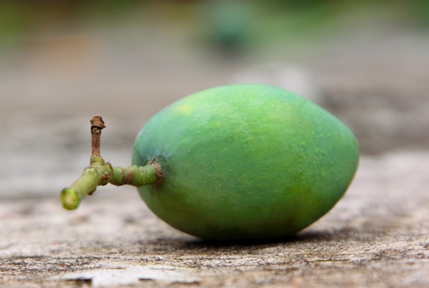 Primo piano di un mango verde fresco