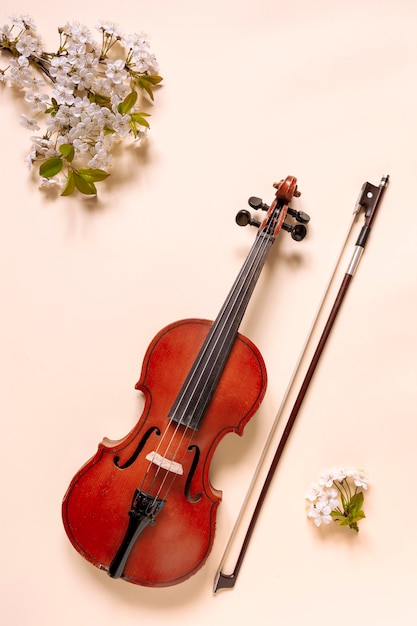 Primo piano di un ramo di ciliegio in fiore e violino con fiocco su sfondo corallo calmante pastello