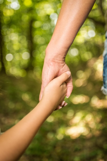 Primo piano di un tenersi per mano madre e figlia. Stanno camminando attraverso la foresta.