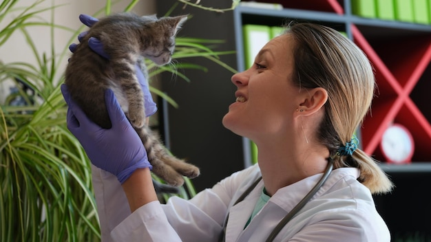 Primo piano di una donna veterinaria sorridente che tiene un piccolo gattino grigio visita medica del gatto dentro