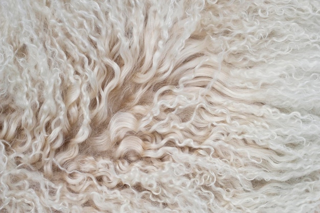 primo piano di una pelliccia di lana di pecora beige