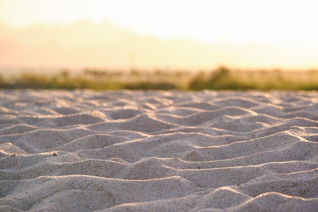 Primo piano di una superficie di sabbia gialla pulita che copre la spiaggia sul mare illuminata con luce della sera Concetto di viaggio e vacanze