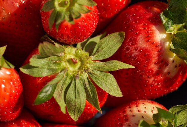 Primo piano di vista dall'alto della fragola naturale