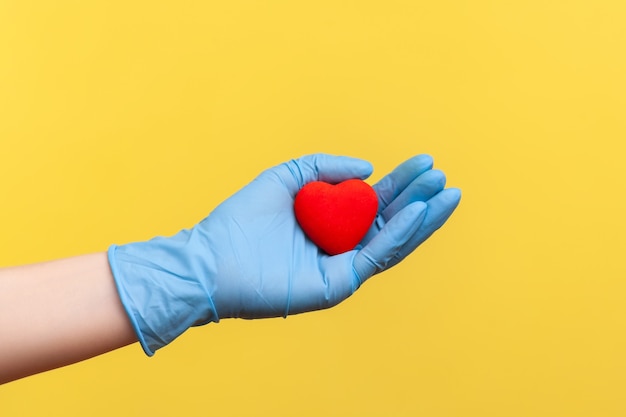 Primo piano di vista laterale della mano umana in guanti chirurgici blu che tengono in mano una piccola forma di cuore rosso.