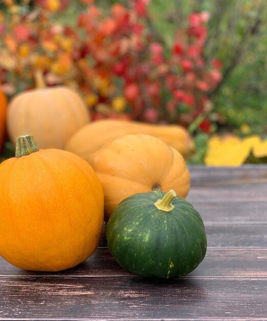 primo piano di zucca su uno sfondo di legno. banner per halloween e il giorno del ringraziamento