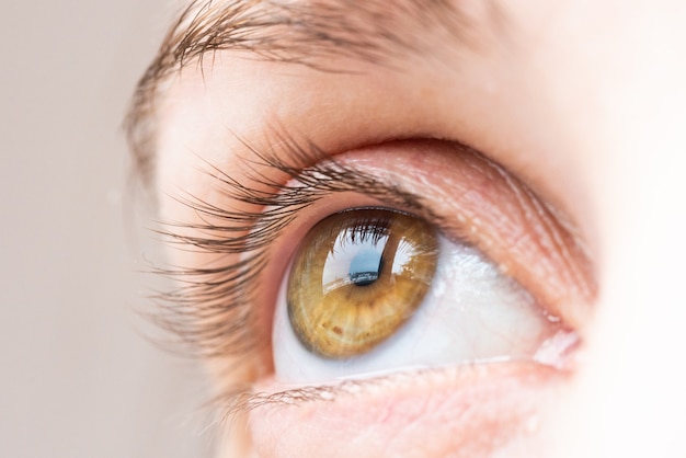 Primo piano estremo dell'occhio umano marrone nella tecnica della scarsa visibilità.