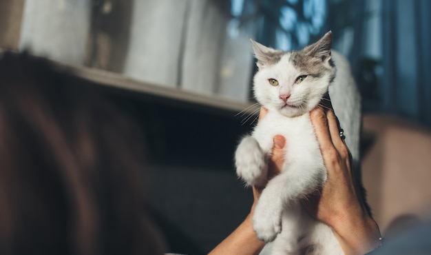 Primo piano foto di una donna caucasica che tiene il suo gatto in mano mentre giaceva sul divano e ci giocava