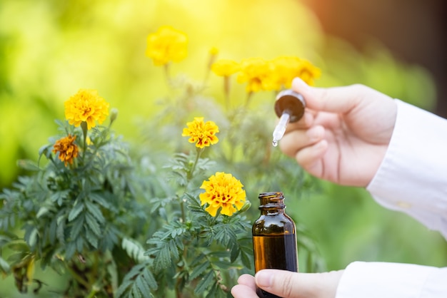 Primo piano impollinazione manuale Fiori di calendula con contagocce