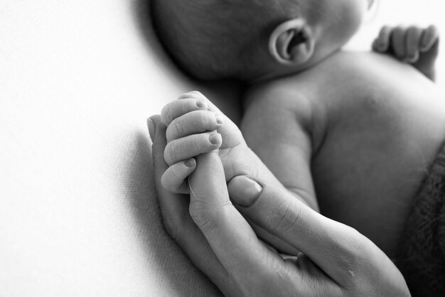 Primo piano la piccola mano del bambino e il palmo della madre e del padre Il neonato ha una presa salda sul dito del genitore dopo la nascita Un neonato si aggrappa al dito del papà della mamma Foto in bianco e nero