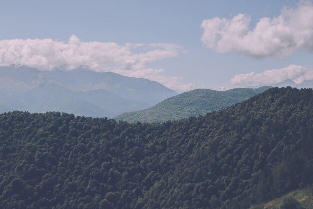 Primo piano montagne e scene di valle nel parco nazionale Dombai, Caucaso, Russia, Europa. Paesaggio estivo, tempo soleggiato, cielo azzurro drammatico e giornata di sole