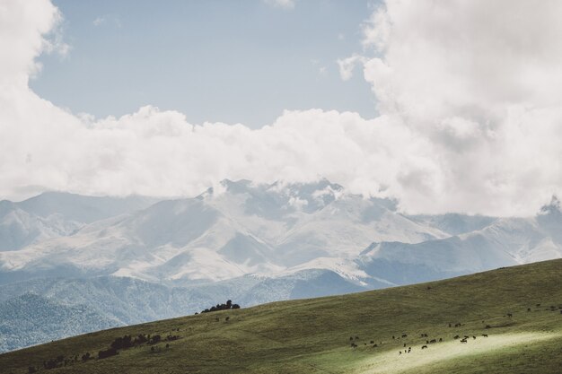 Primo piano montagne e scene di valle nel parco nazionale Dombai, Caucaso, Russia, Europa. Paesaggio estivo, tempo soleggiato, cielo azzurro drammatico e giornata di sole