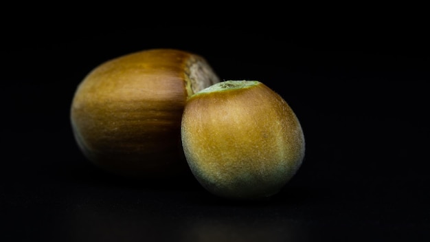 primo piano nocciola su sfondo nero