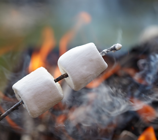 Primo piano o marshmallow accanto al fuoco su un bastone