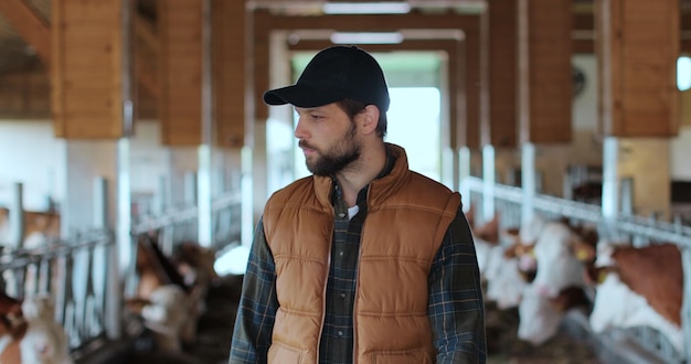 Primo piano operaio che cammina stalla per vacche ispezionando il processo di produzione Imprenditore agricolo che controlla l'alimentazione delle mucche analizzando la salute del bestiame in una fattoria tecnologica