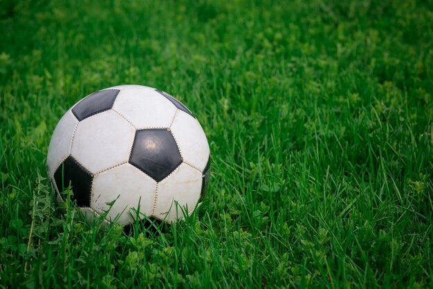 primo piano Pallone da calcio sul prato