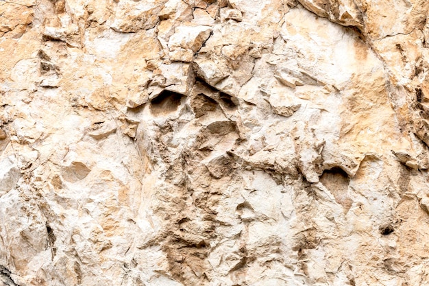 Primo piano selvaggio del fondo della pietra naturale di struttura