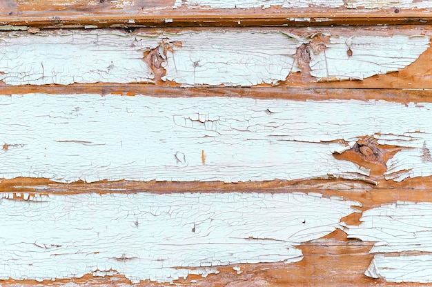 Primo piano, struttura della vernice bianca scrostata dal legno.