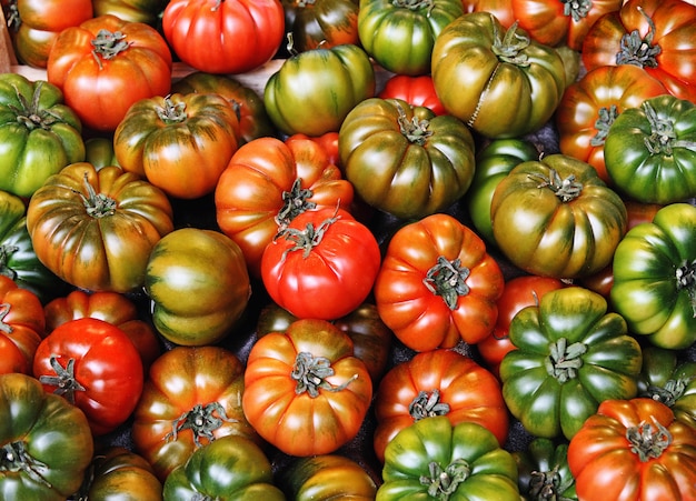 Primo piano su diversi tipi di pomodori