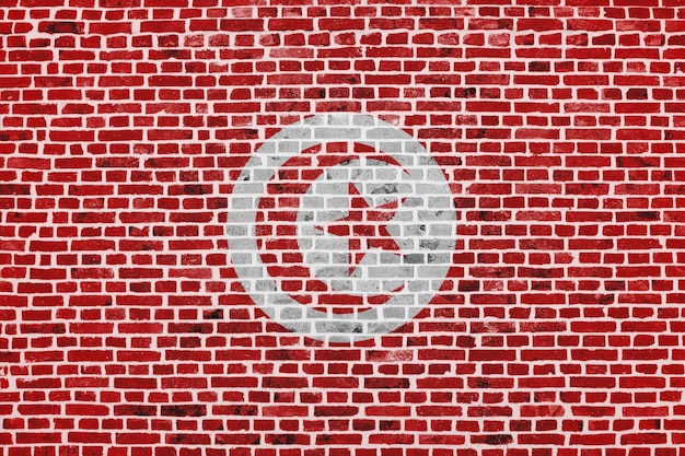 Primo piano su un muro di mattoni con la bandiera della Tunisia dipinta su di esso