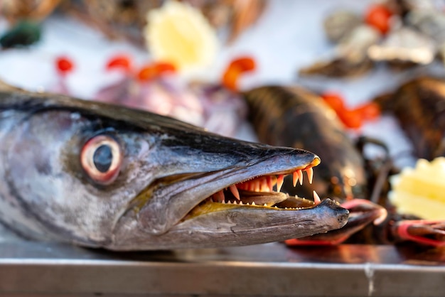 Primo piano sui denti barracuda Barracuda di pesce fresco di mare al mercato del cibo di strada Concetto di frutti di mare Barracuda cruda per cucinare