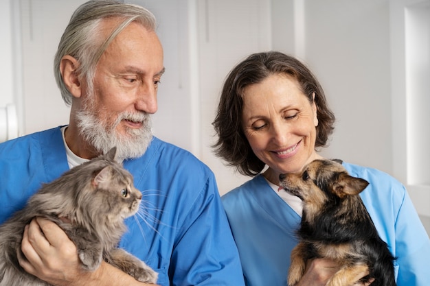 Primo piano sul medico veterinario che si prende cura dell'animale domestico