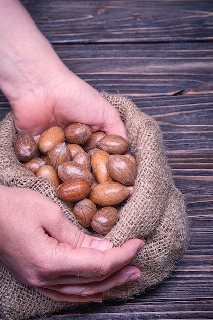 Primo piano sulla mano della donna che tiene le noci pecan