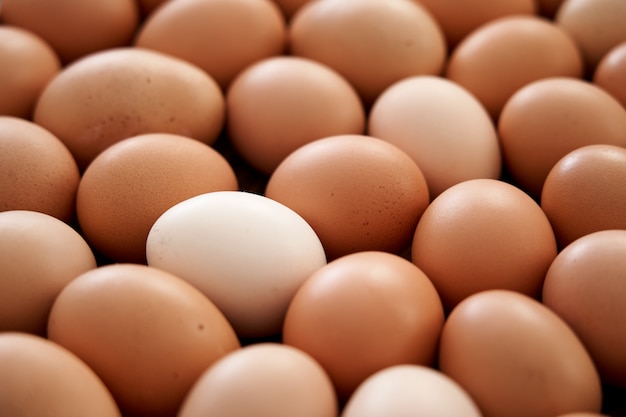 Primo piano sulle uova di gallina naturale